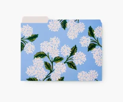 Assorted File Folders