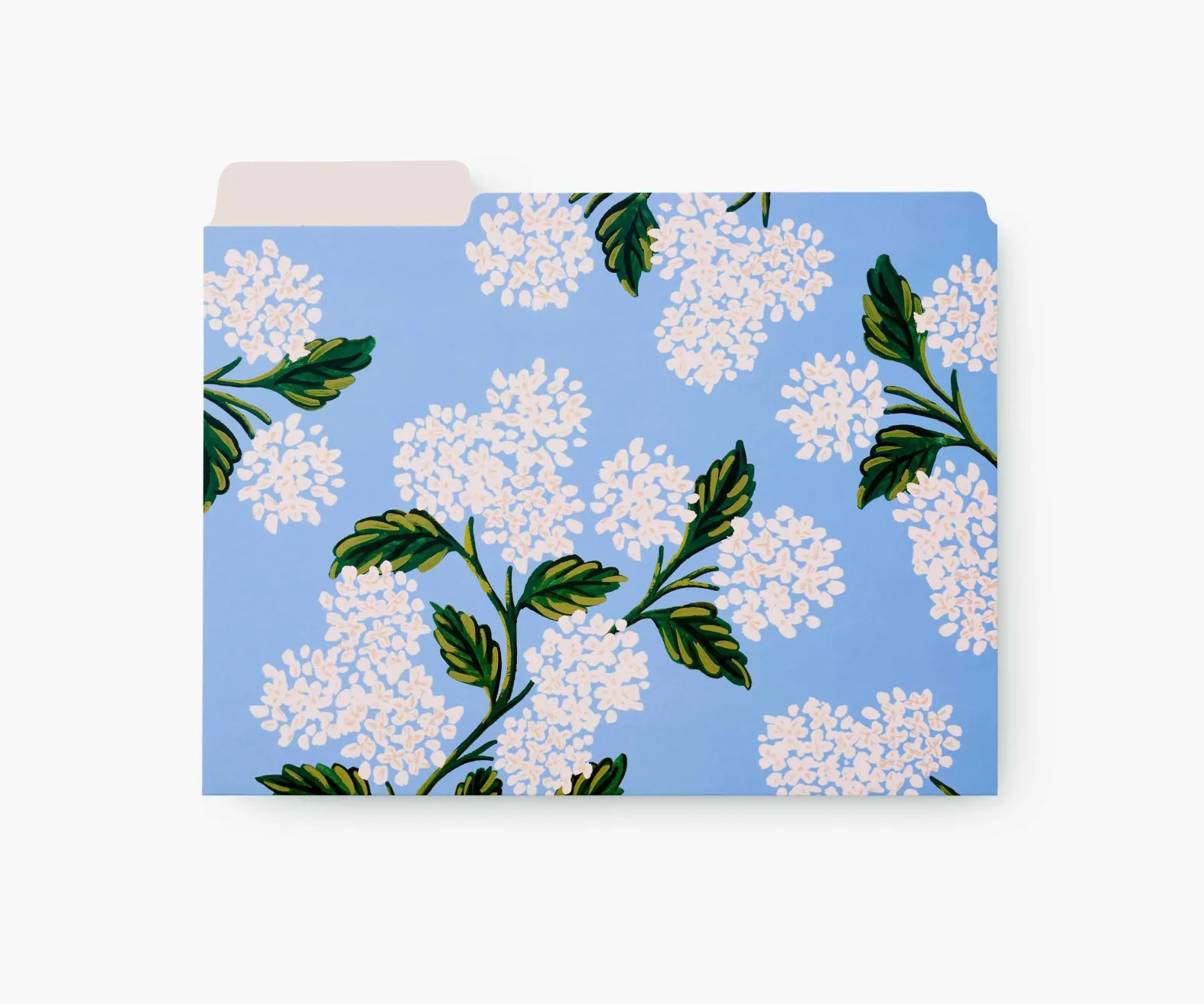 Assorted File Folders