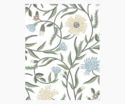 Aster Wallpaper