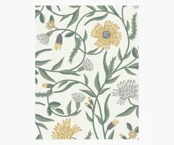 Aster Wallpaper
