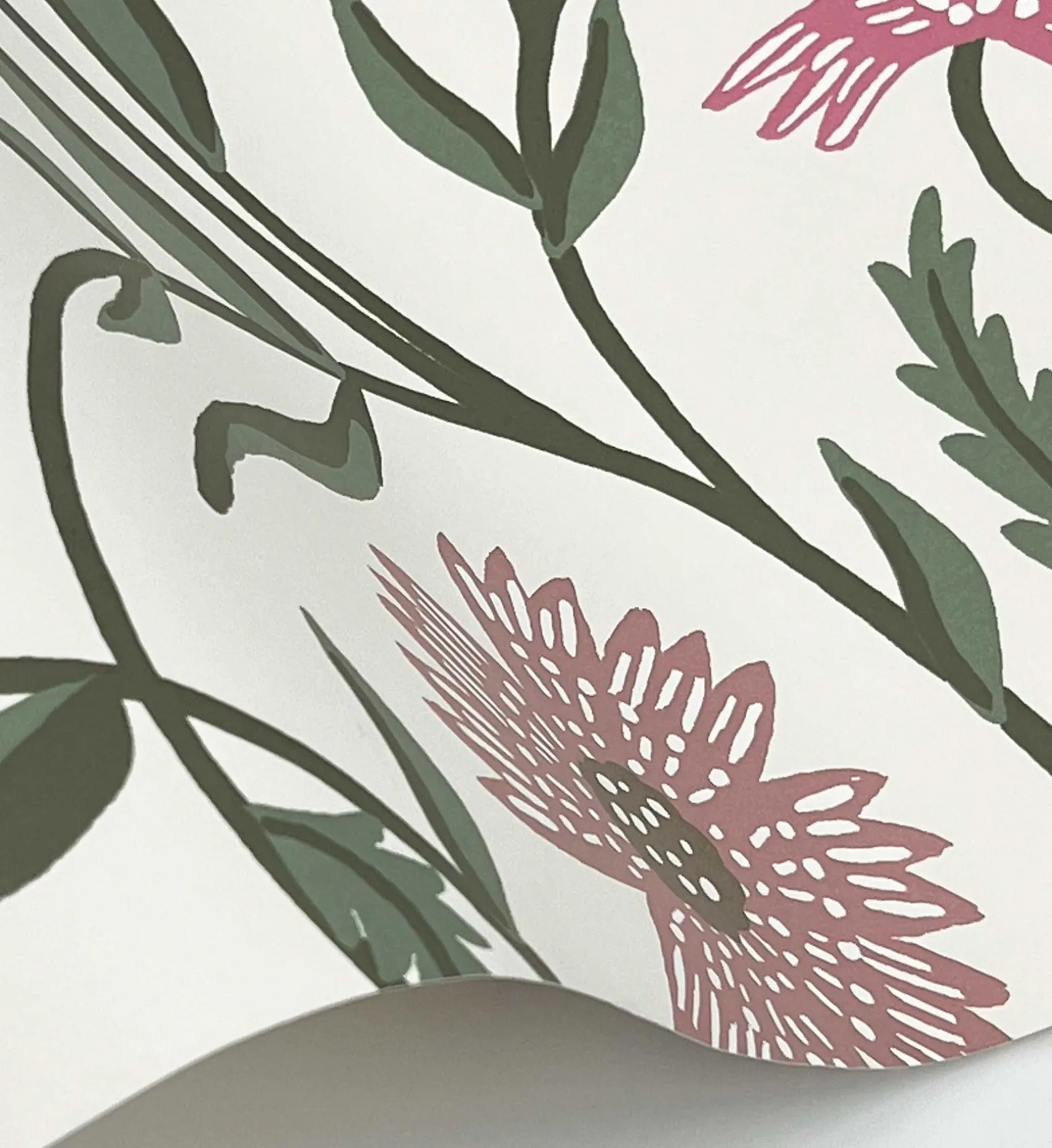 Aster Wallpaper