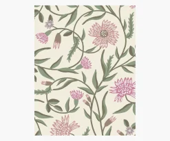 Aster Wallpaper Sample