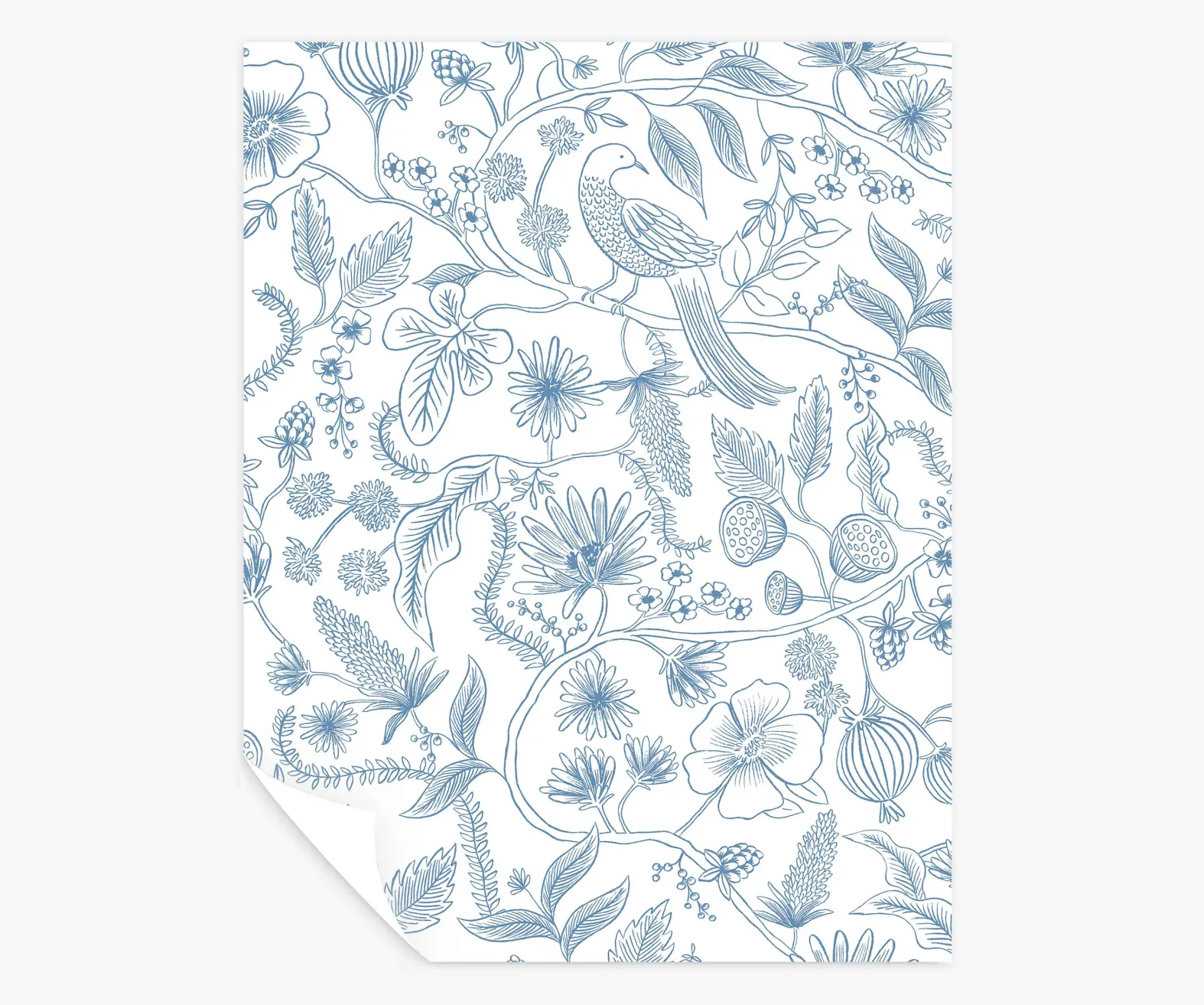 Aviary Peel & Stick Wallpaper Sample