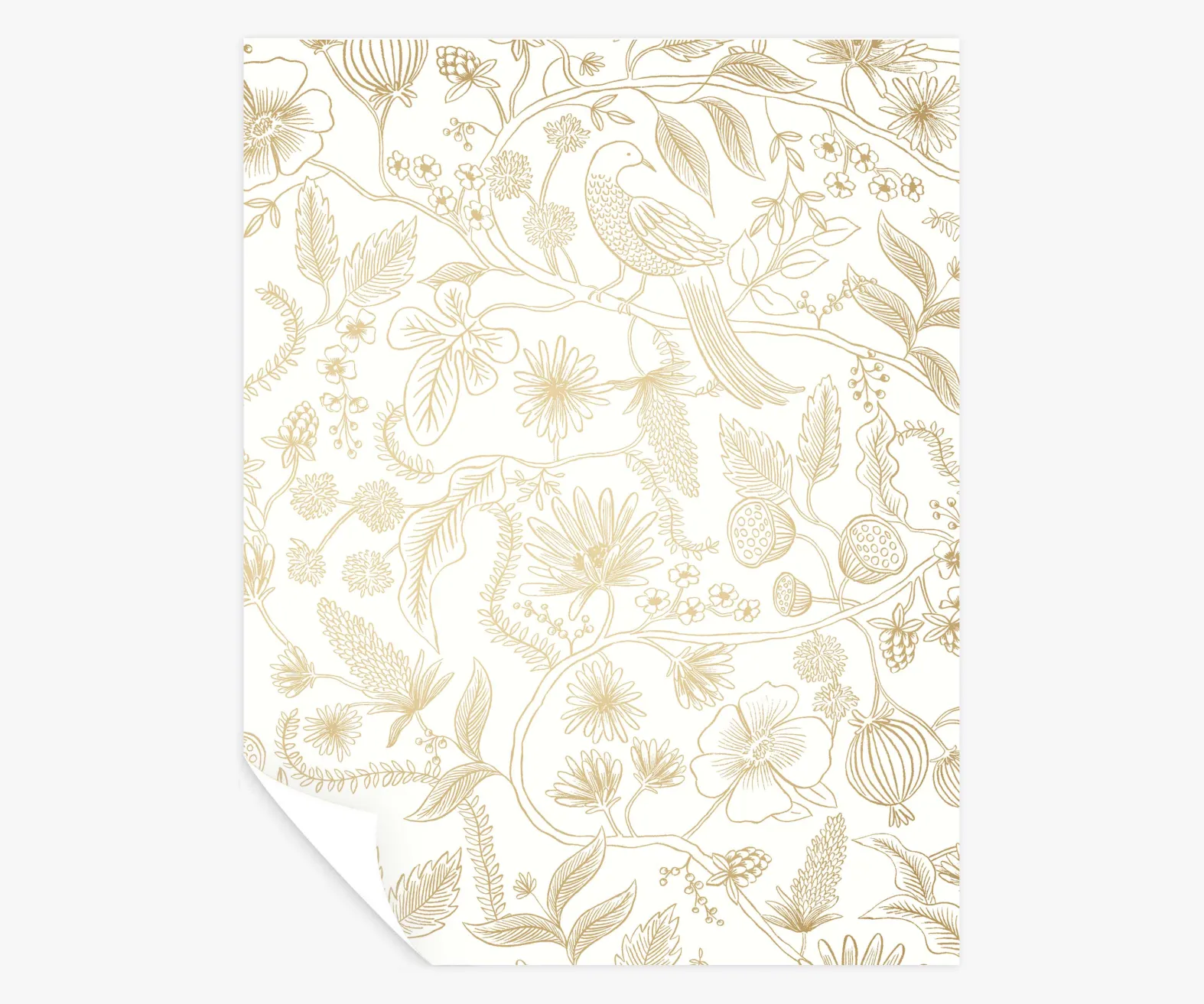Aviary Peel & Stick Wallpaper Sample