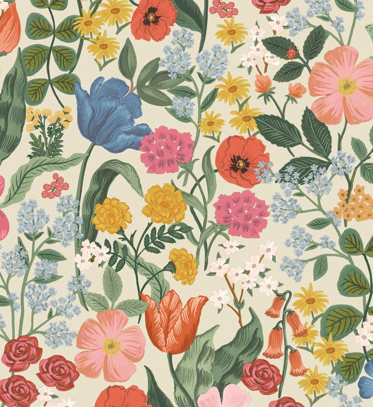 Blossom Wallpaper