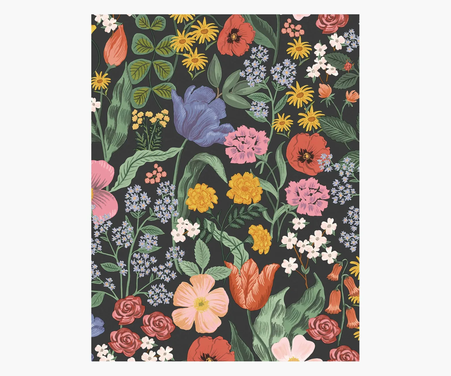 Blossom Wallpaper