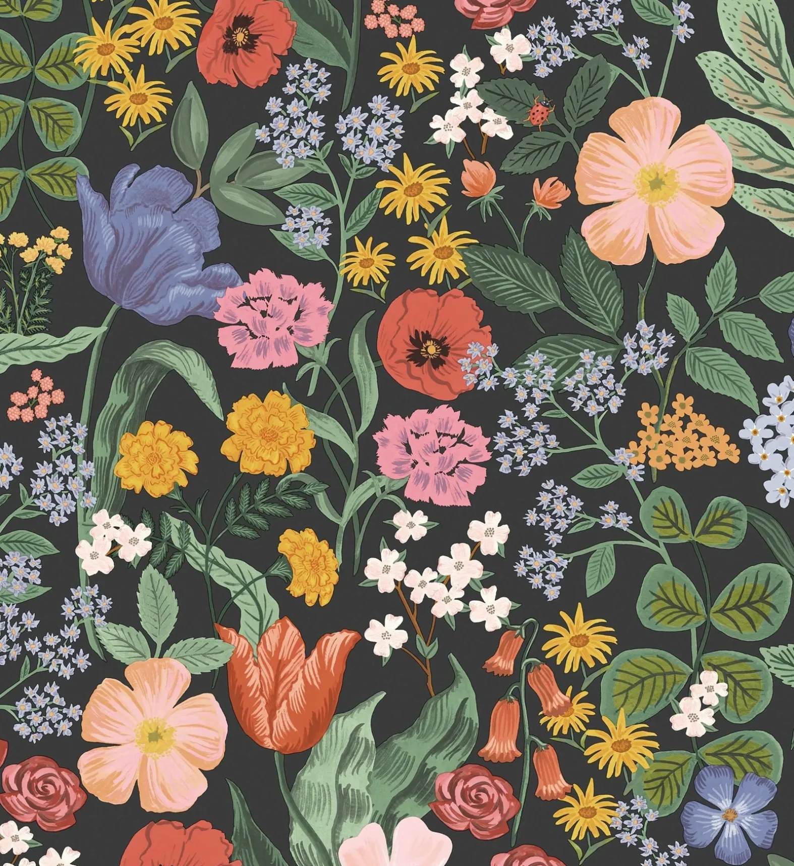 Blossom Wallpaper