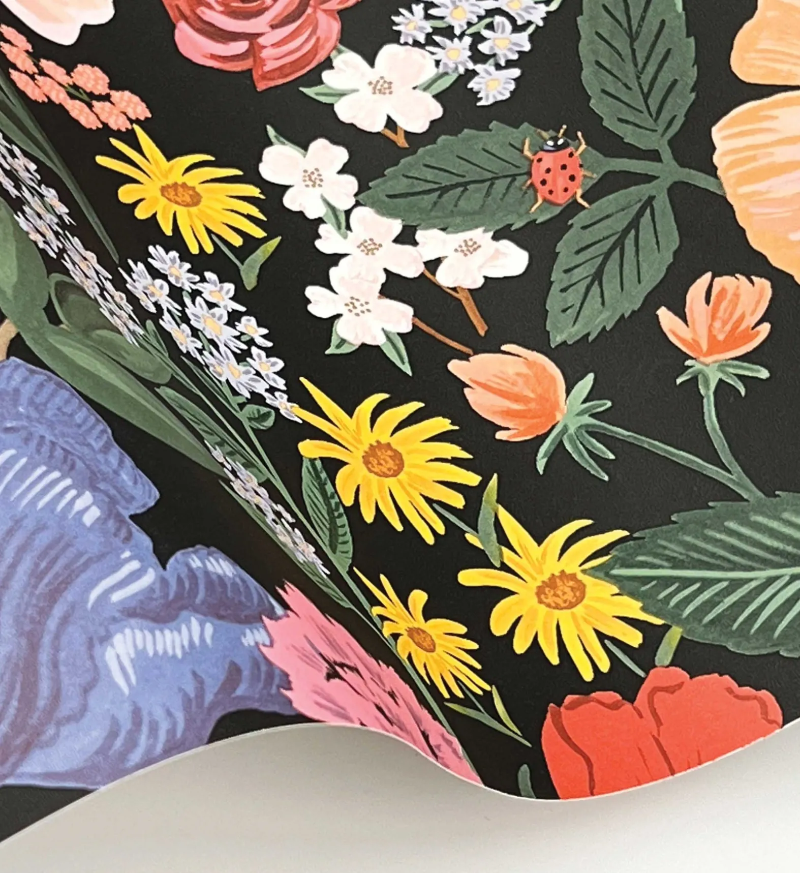 Blossom Wallpaper