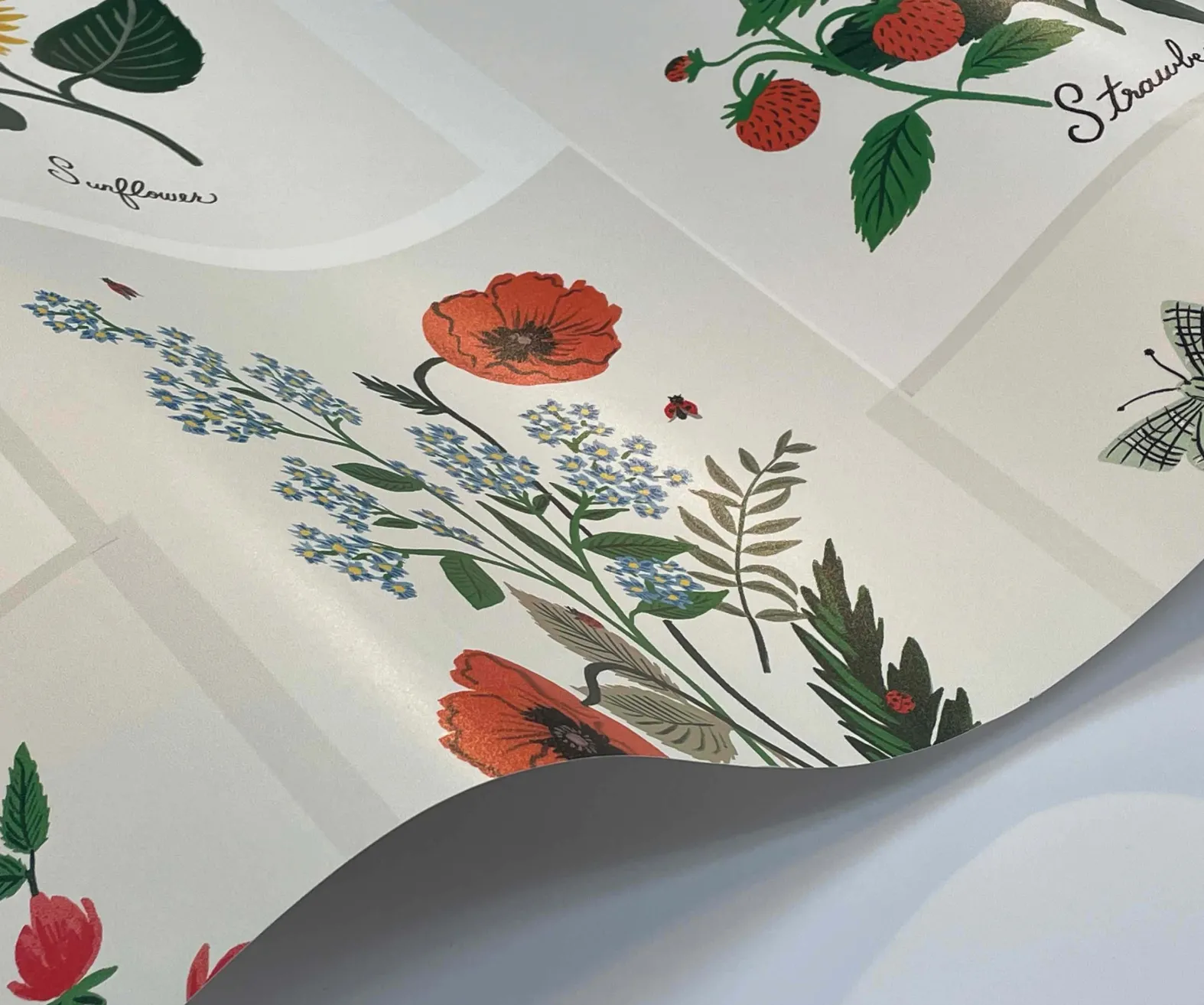 Botanical Prints Wallpaper