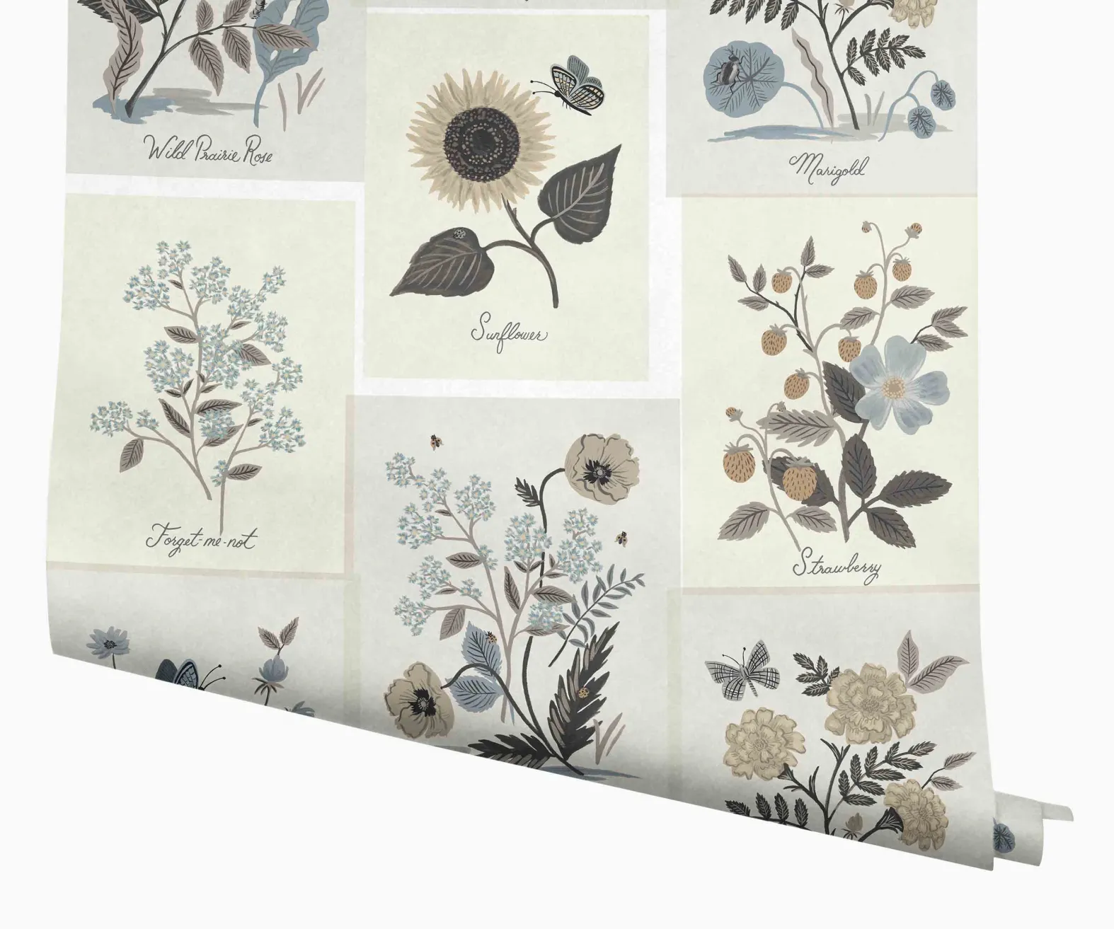 Botanical Prints Wallpaper