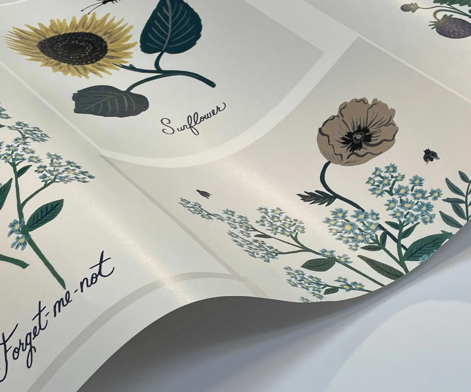 Botanical Prints Wallpaper Sample