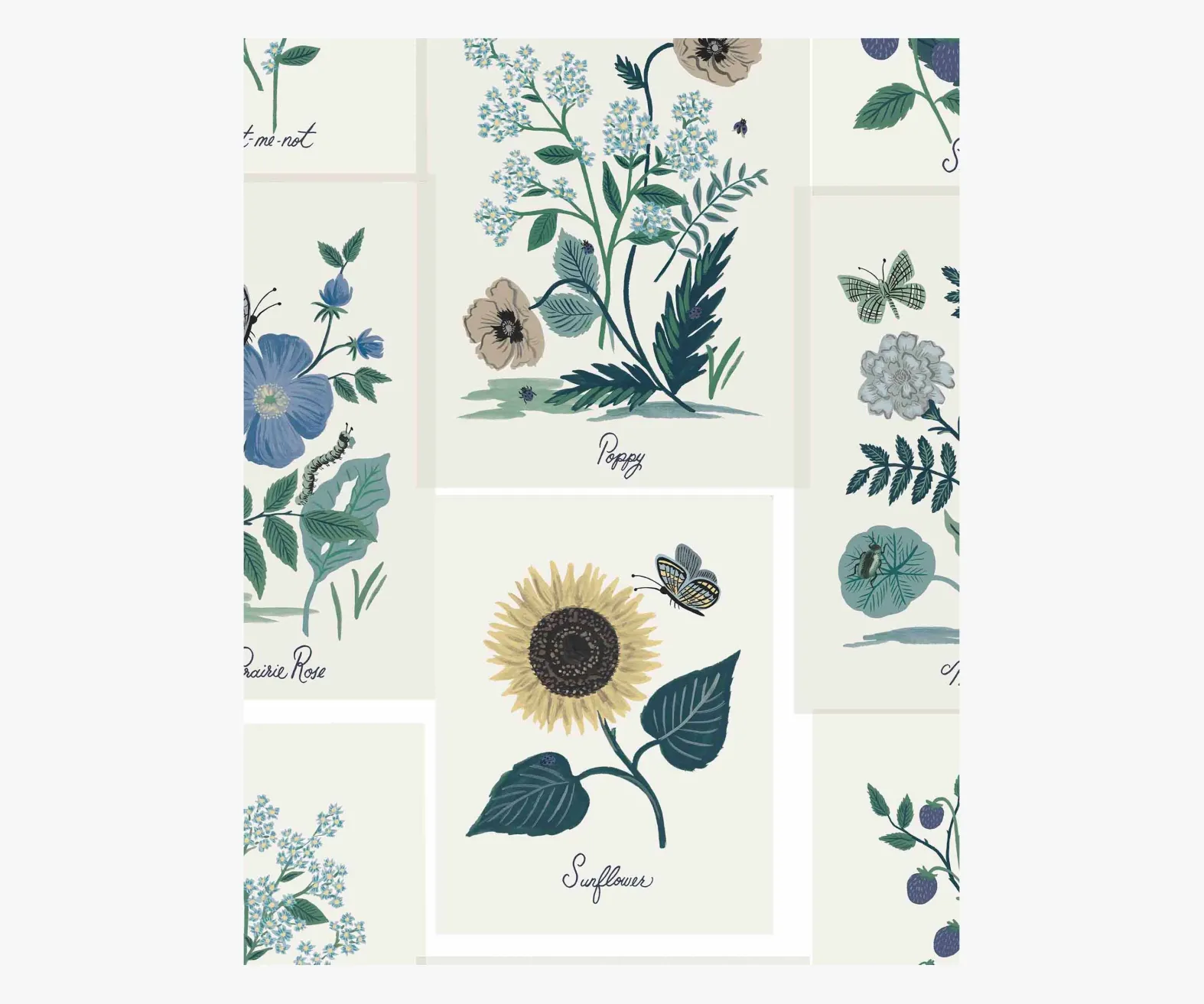 Botanical Prints Wallpaper Sample