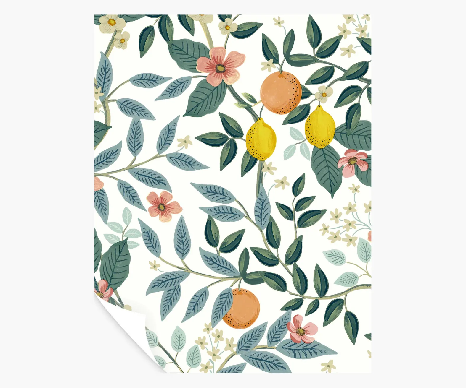 Citrus Grove Peel & Stick Wallpaper Sample