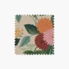 Clare Dining Chair