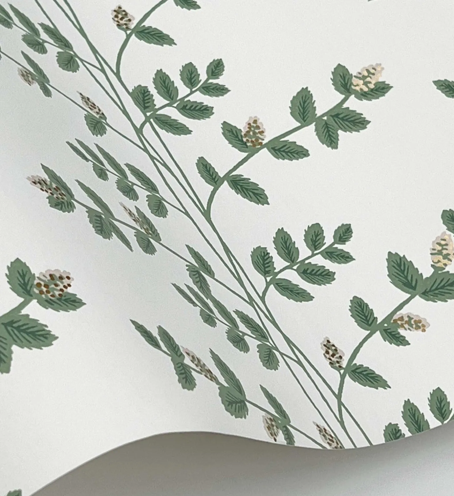 Climbing Vines Wallpaper