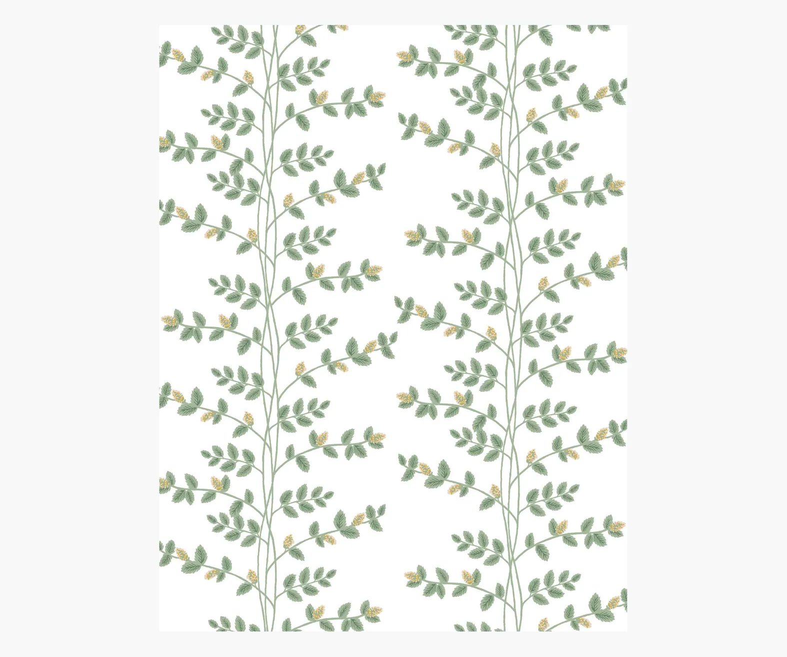 Climbing Vines Wallpaper