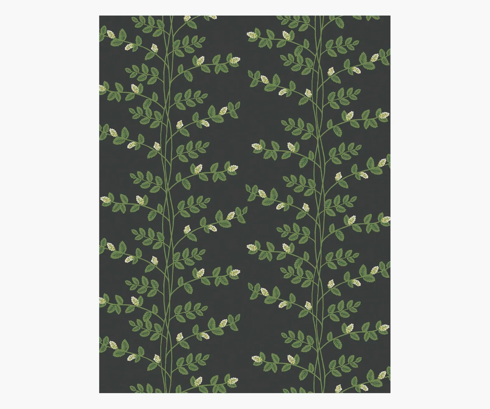 Climbing Vines Wallpaper Sample