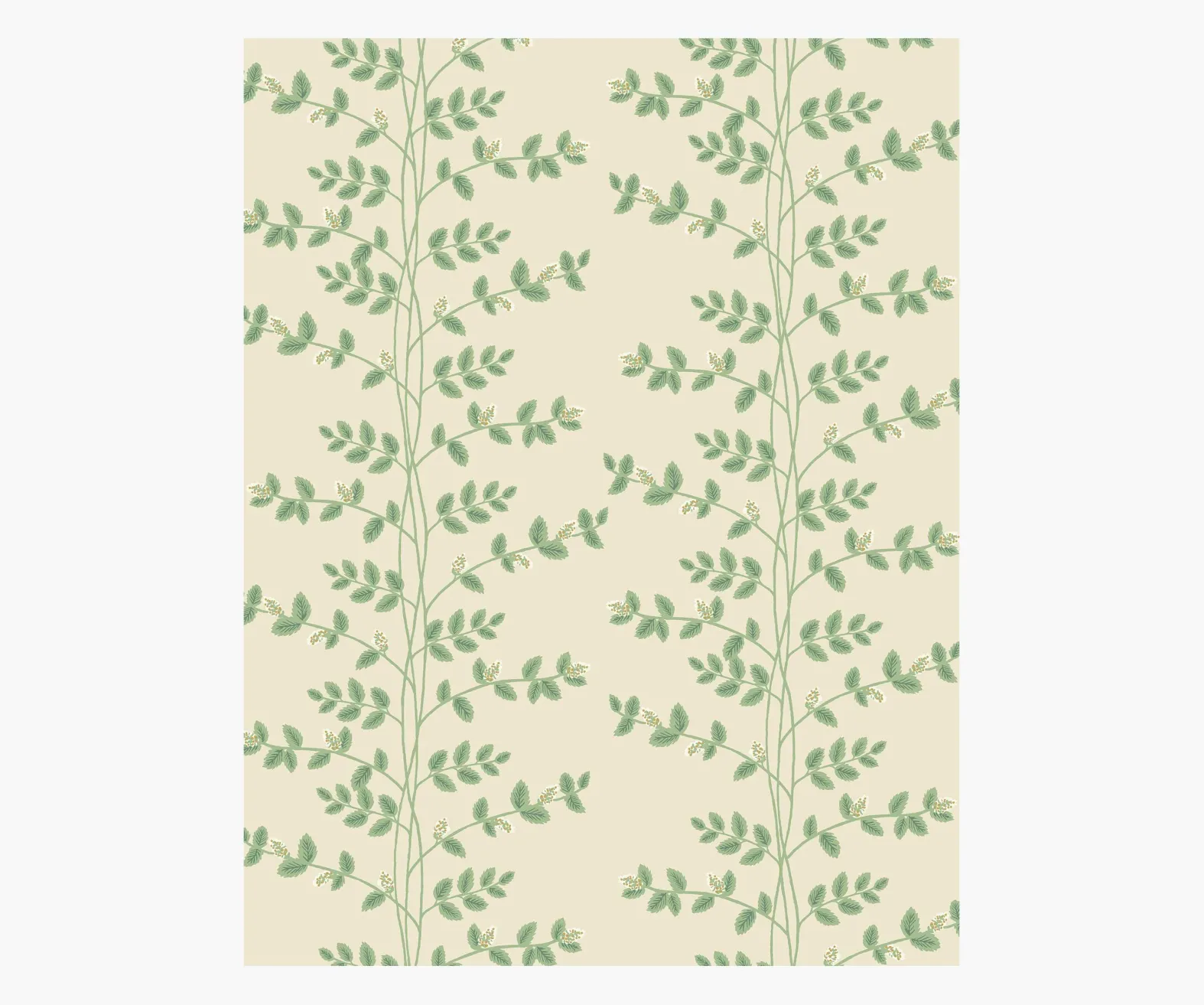 Climbing Vines Wallpaper Sample