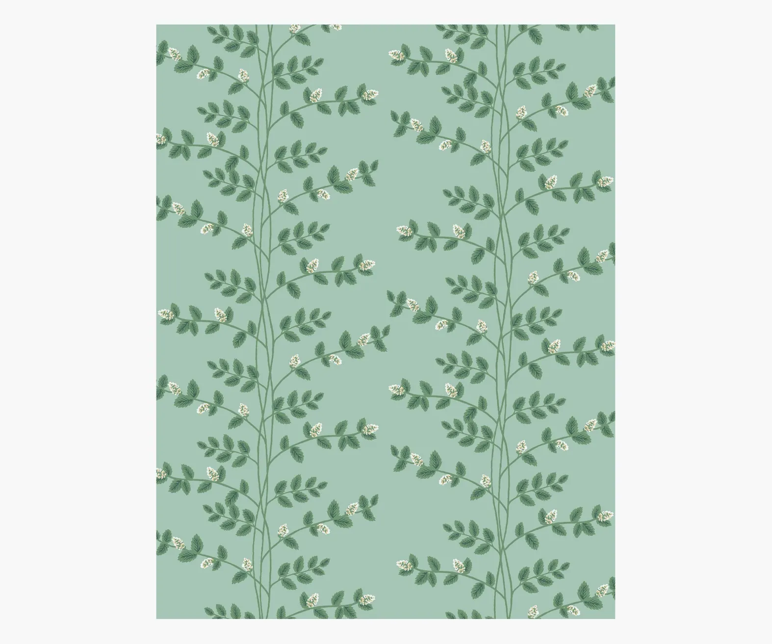 Climbing Vines Wallpaper Sample