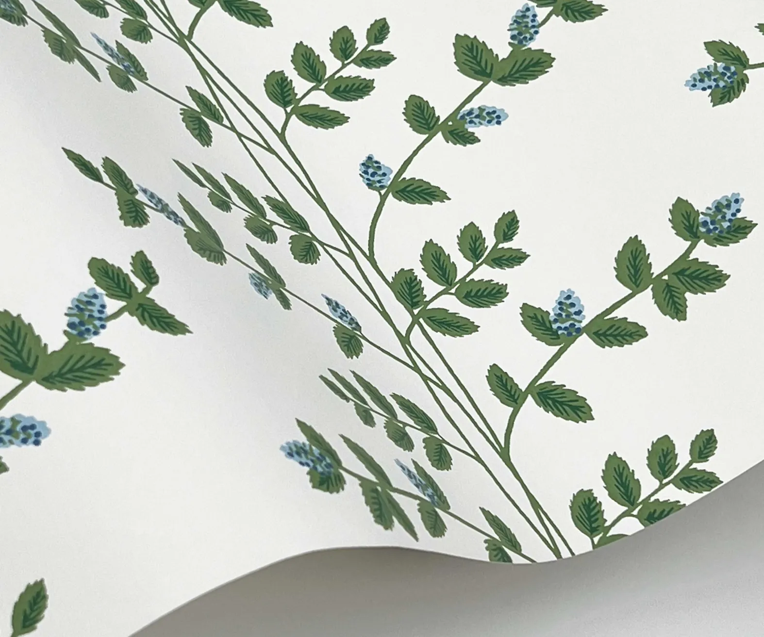 Climbing Vines Wallpaper Sample