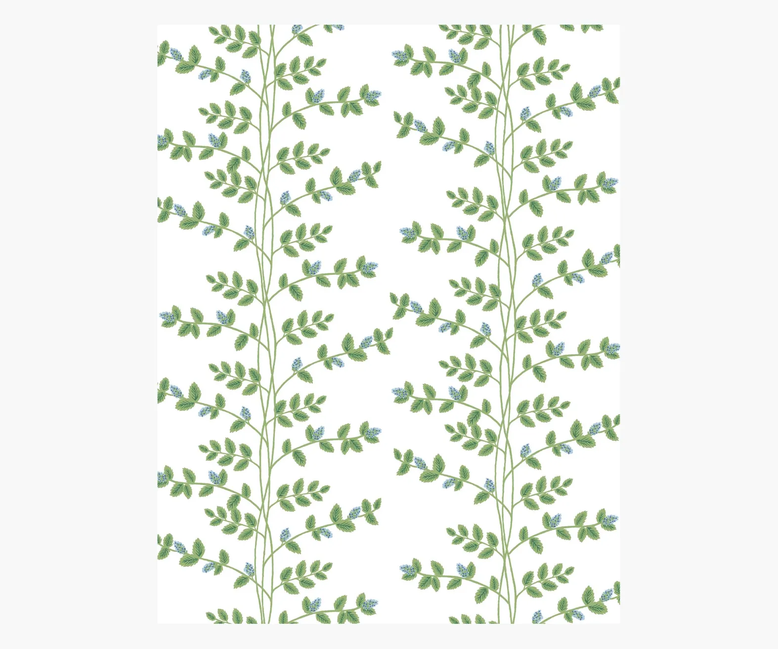 Climbing Vines Wallpaper Sample