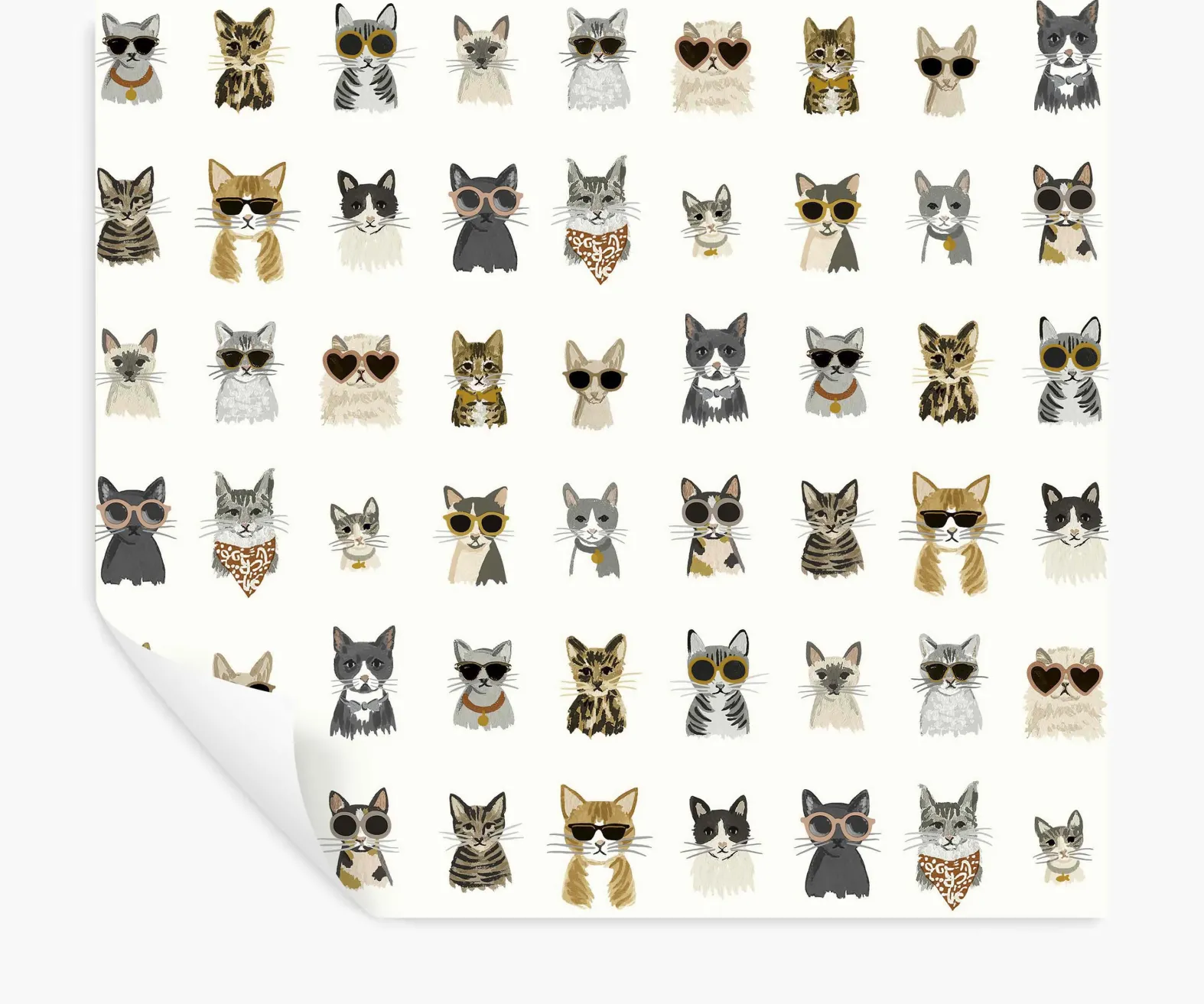 Cool Cats Peel & Stick Wallpaper