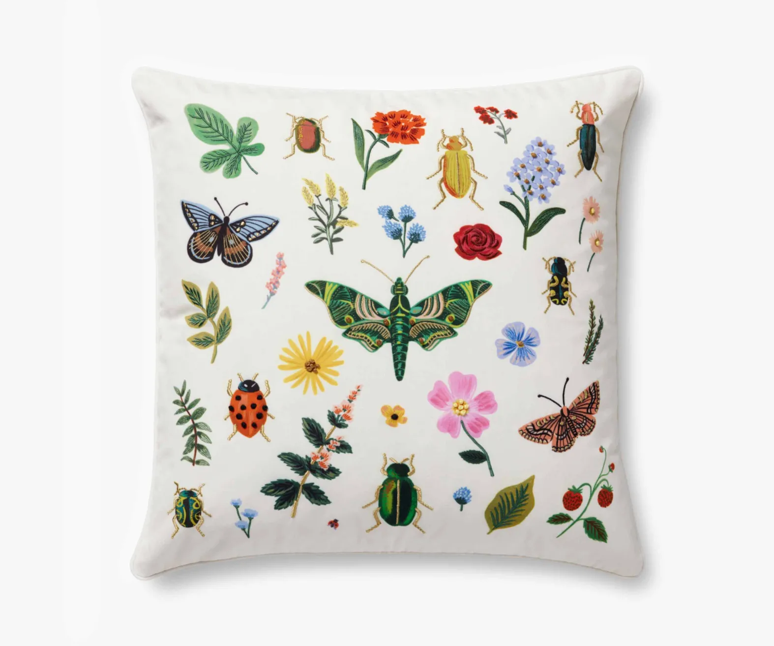 Curio Embroidered Pillow