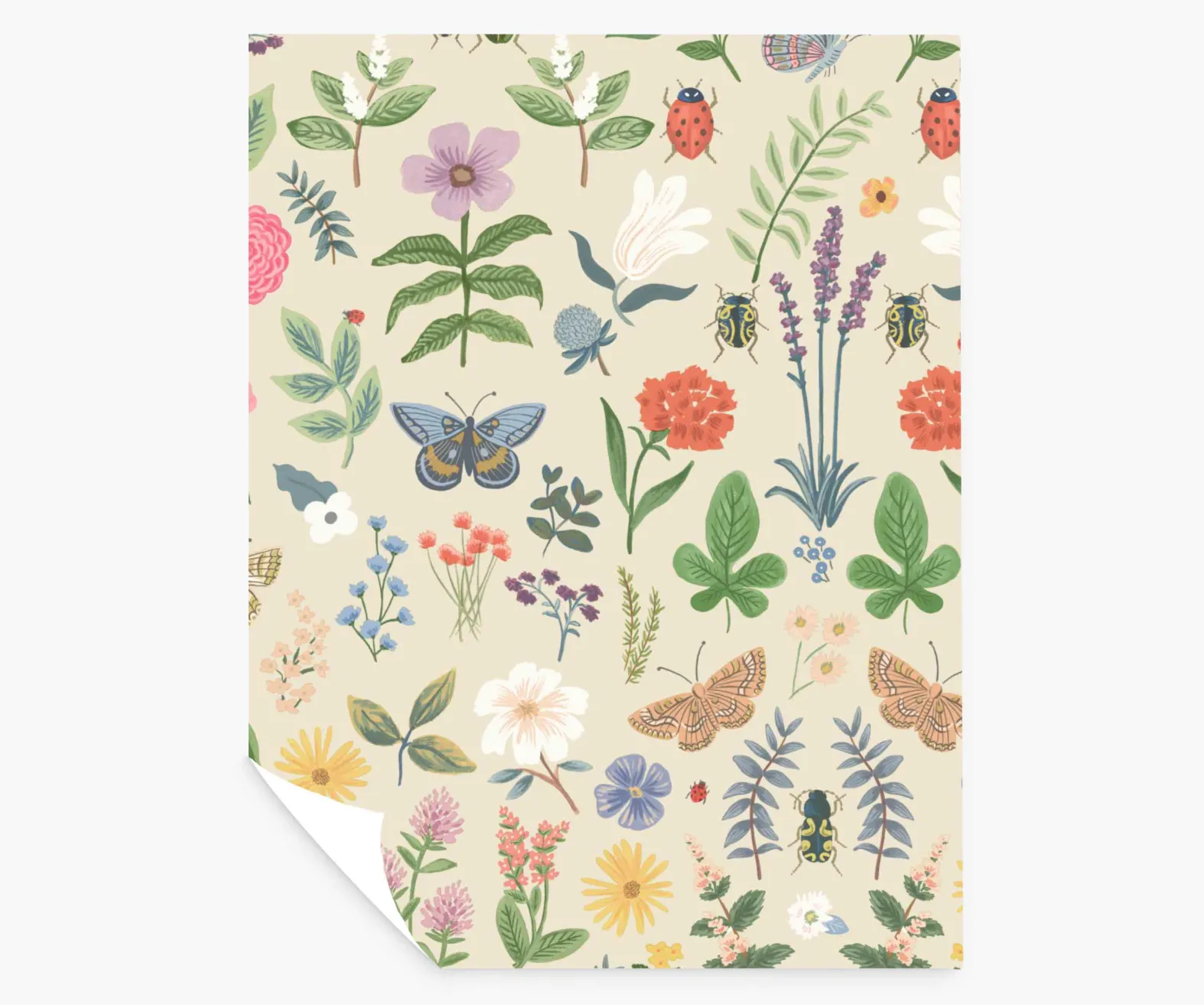Curio Peel & Stick Wallpaper