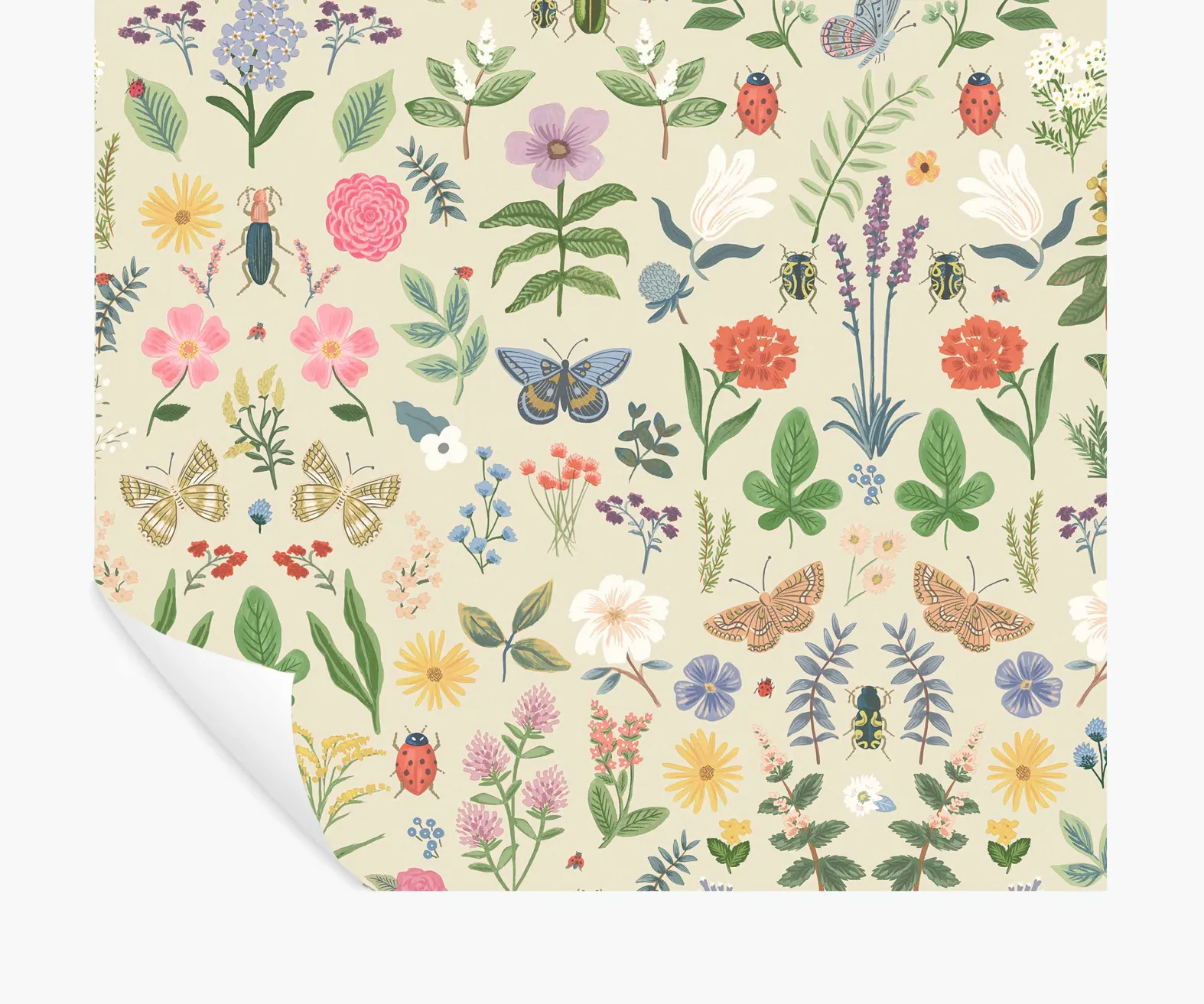 Curio Peel & Stick Wallpaper