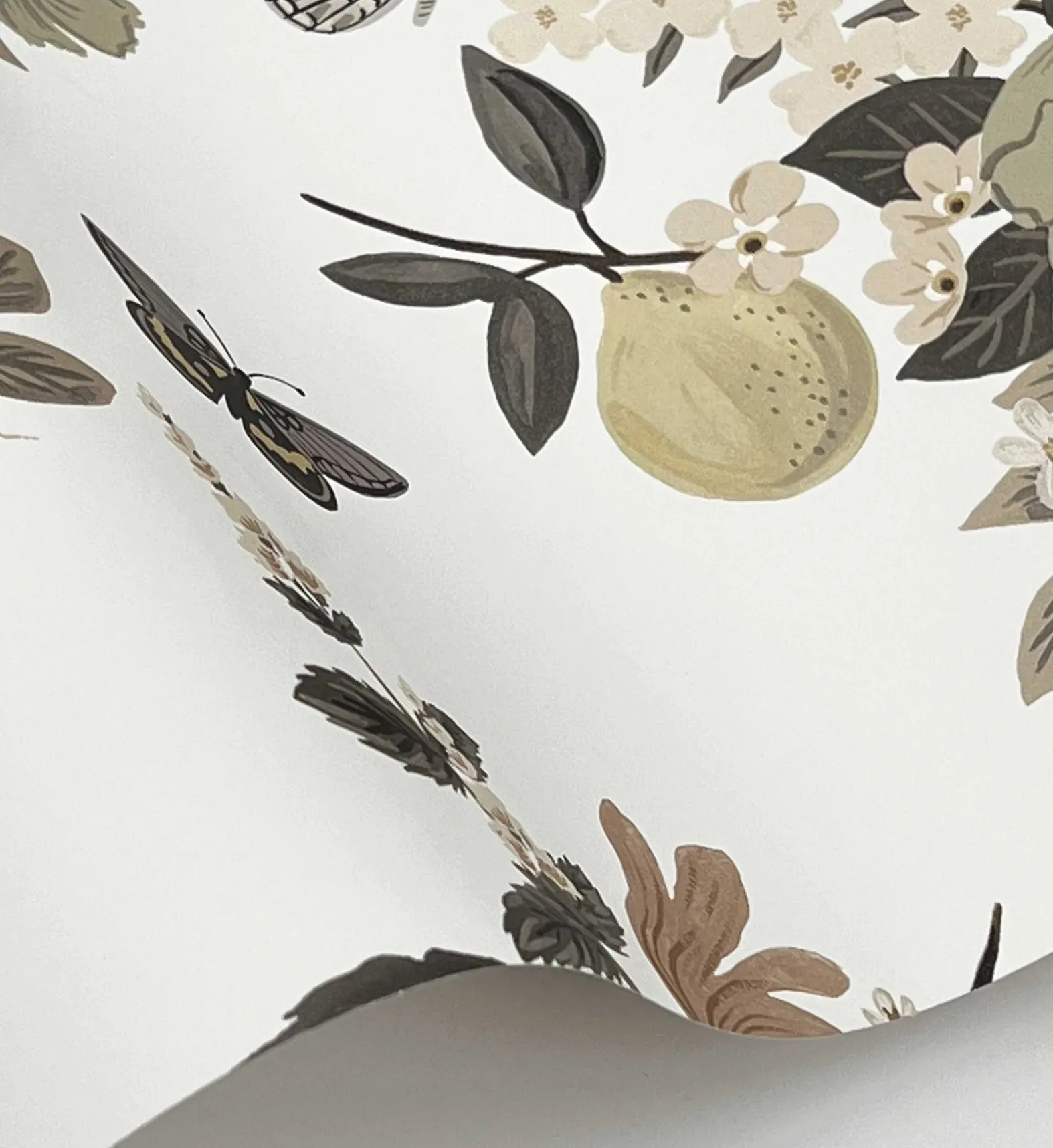 Flower Studies Wallpaper