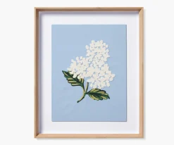 Framed Wall Art