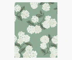 Hydrangea Wallpaper