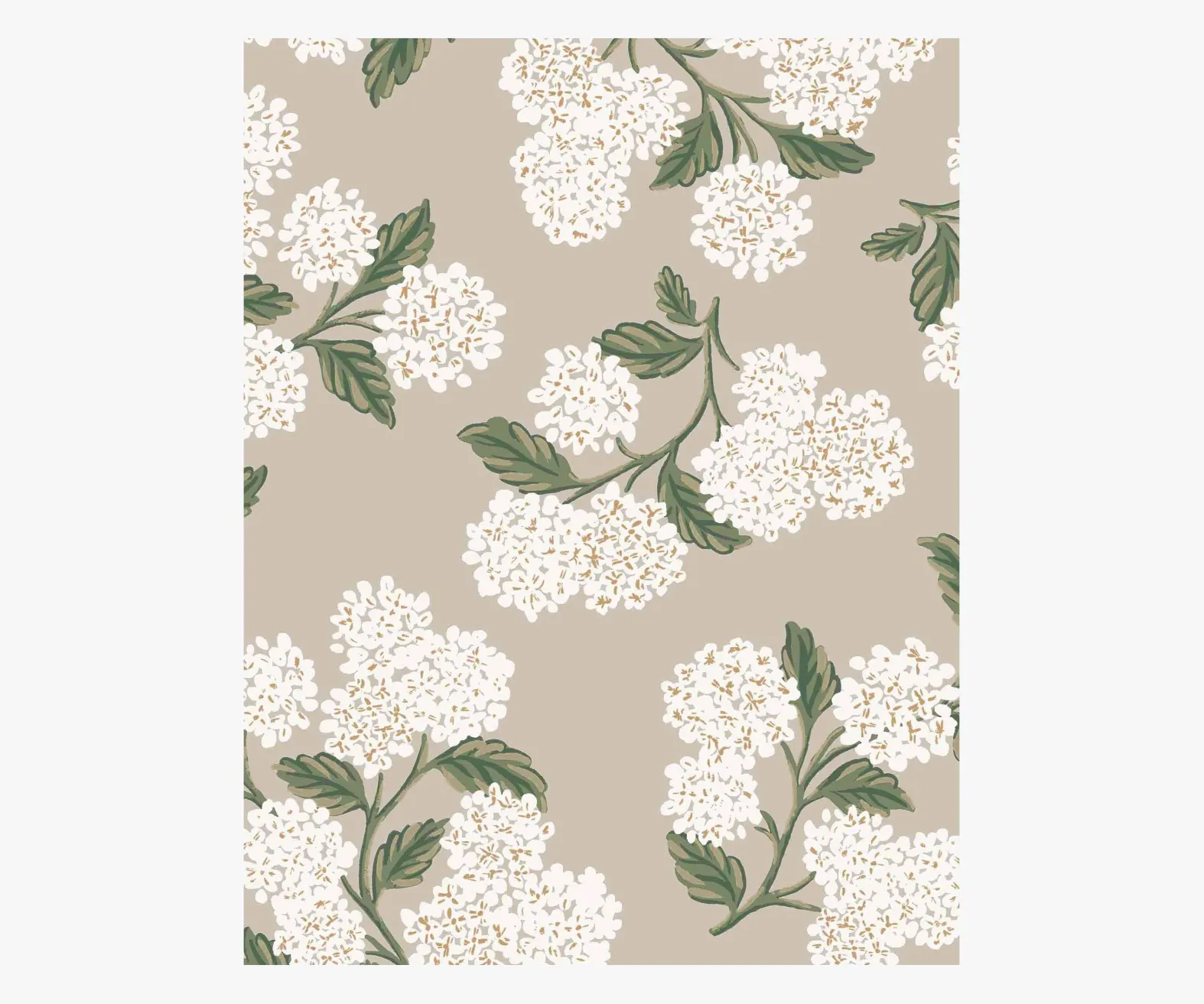 Hydrangea Wallpaper Sample