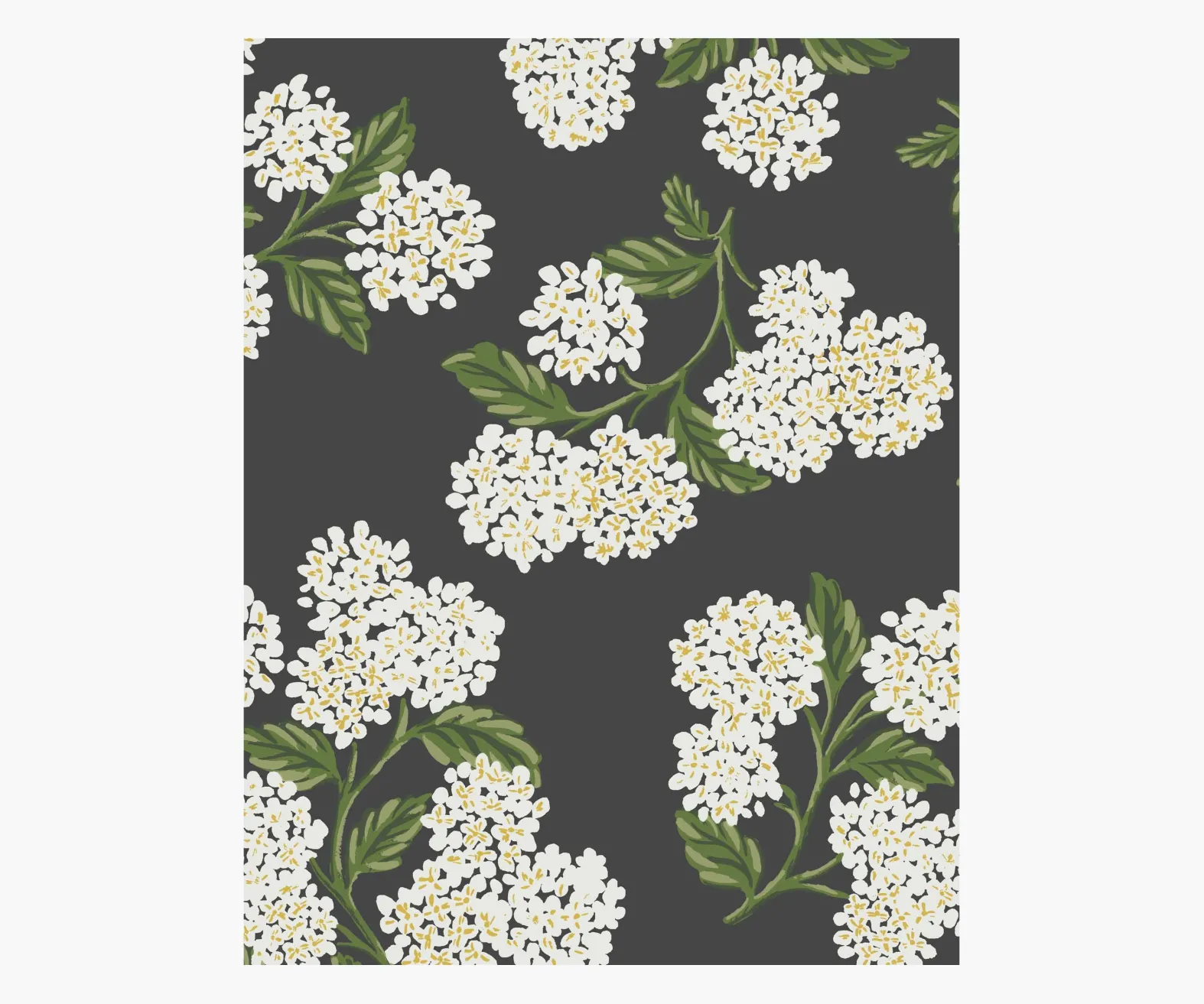 Hydrangea Wallpaper Sample