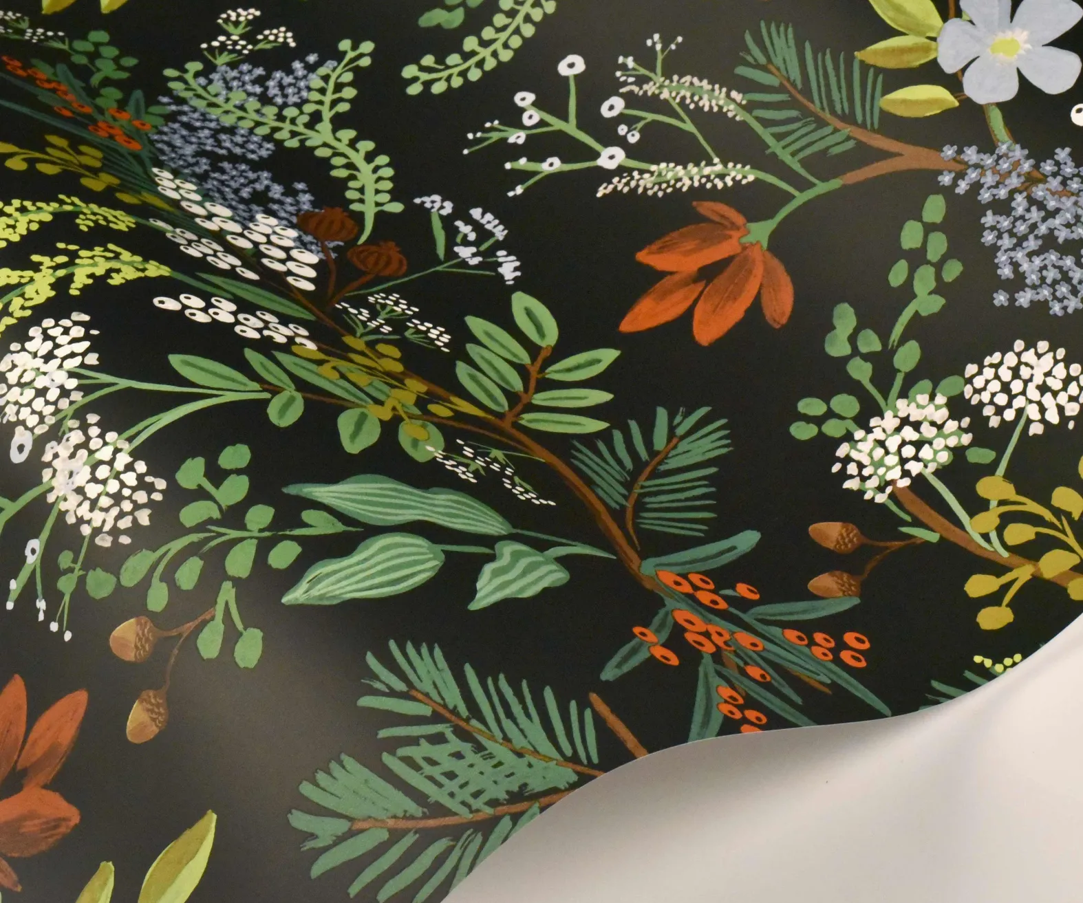Juniper Forest Wallpaper Sample