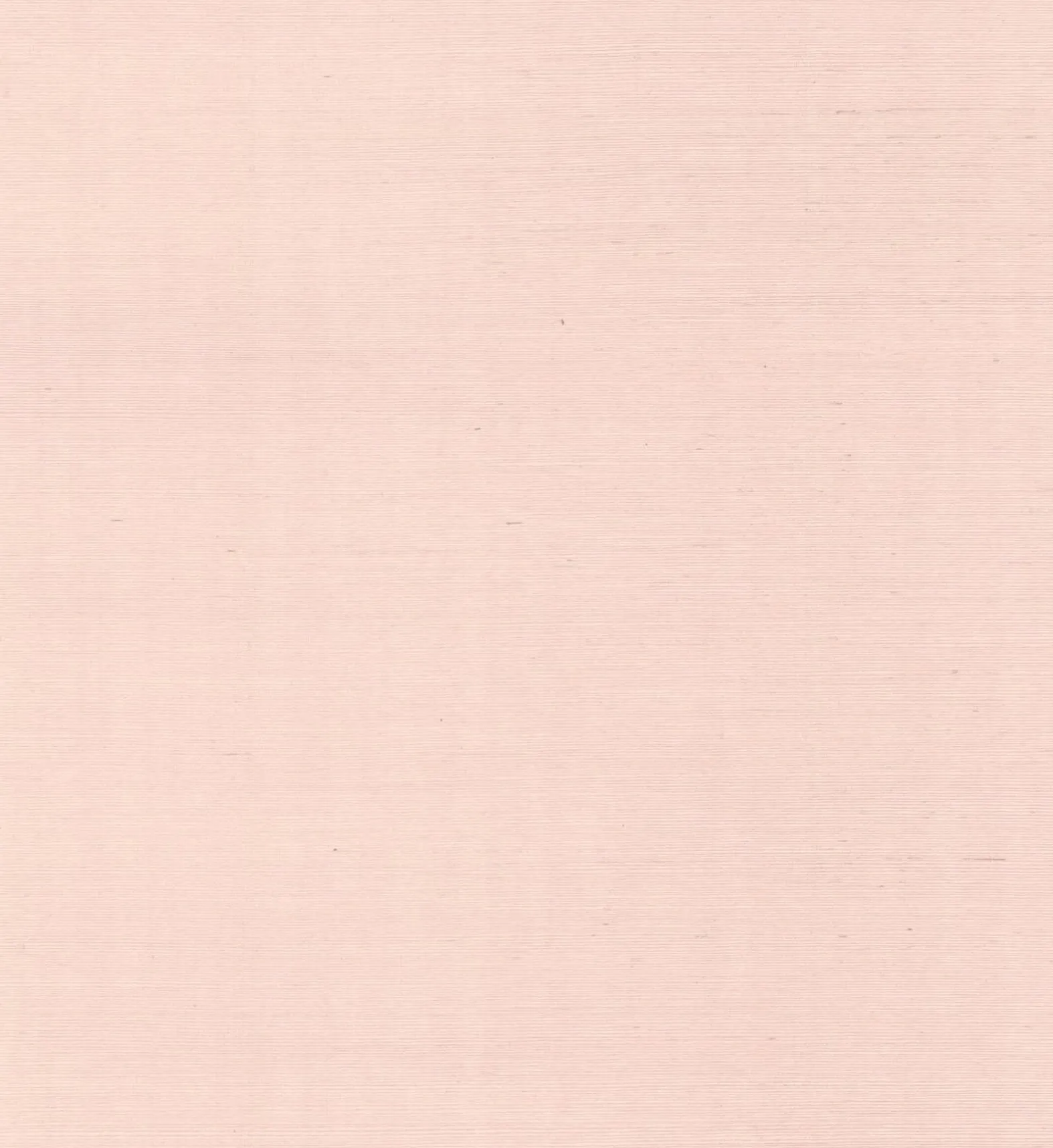 Palette Wallpaper