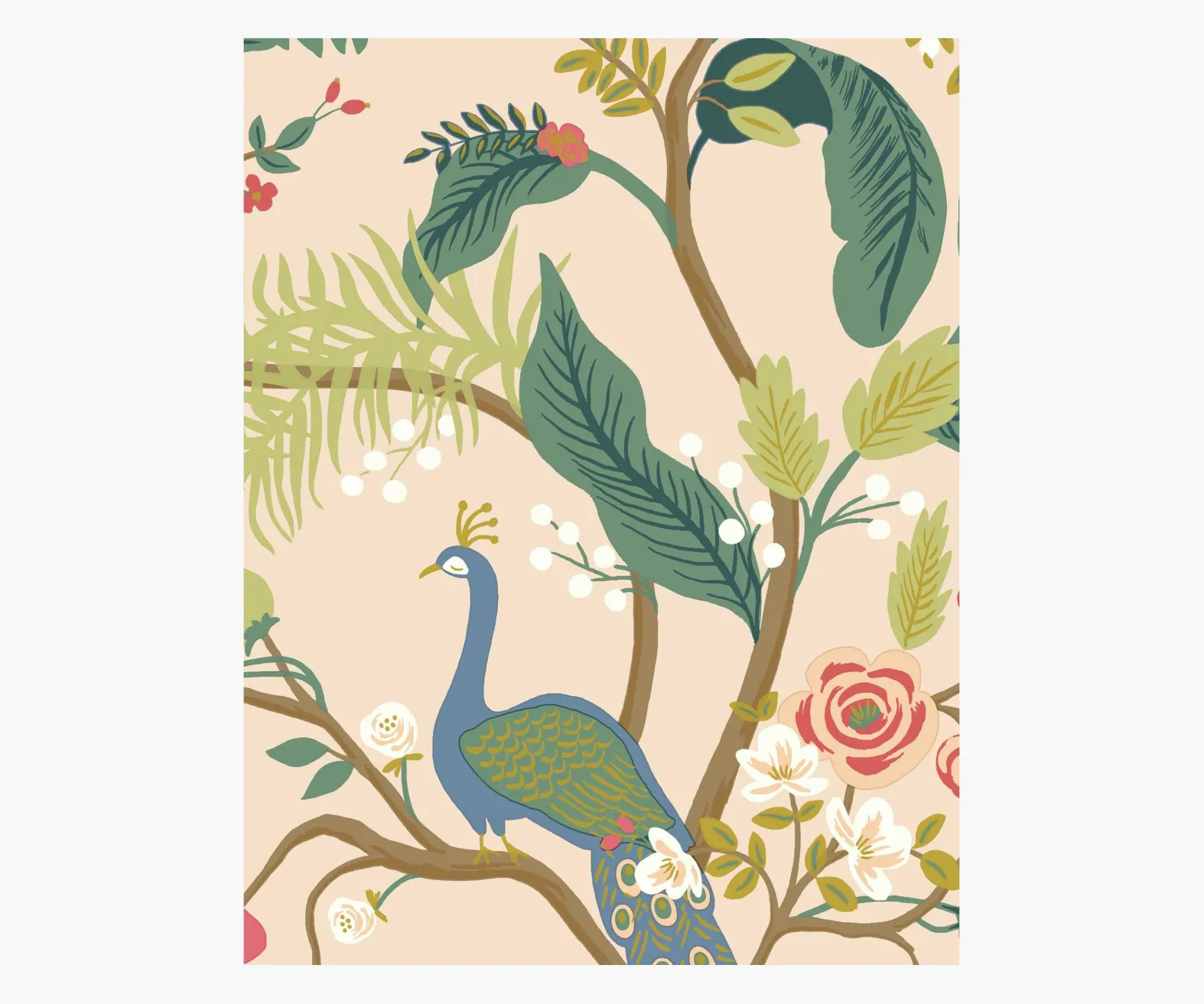 Peacock Wallpaper