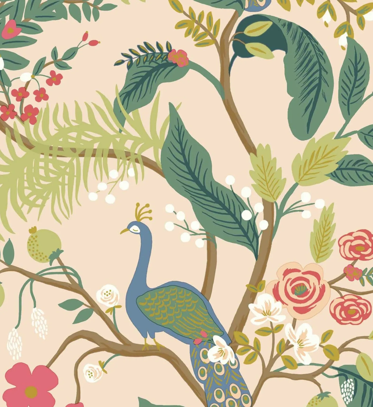 Peacock Wallpaper