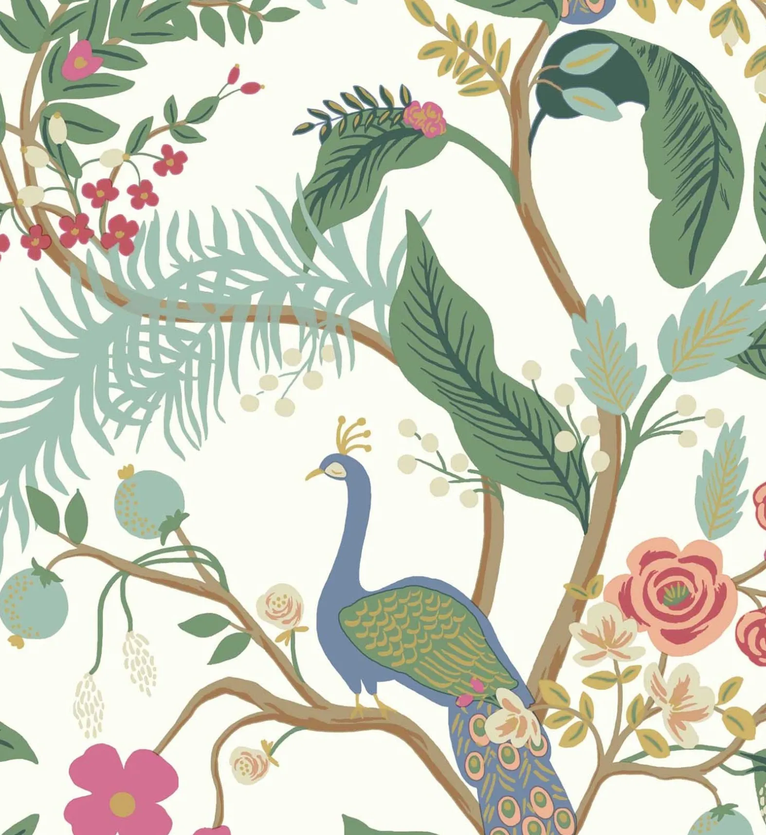 Peacock Wallpaper