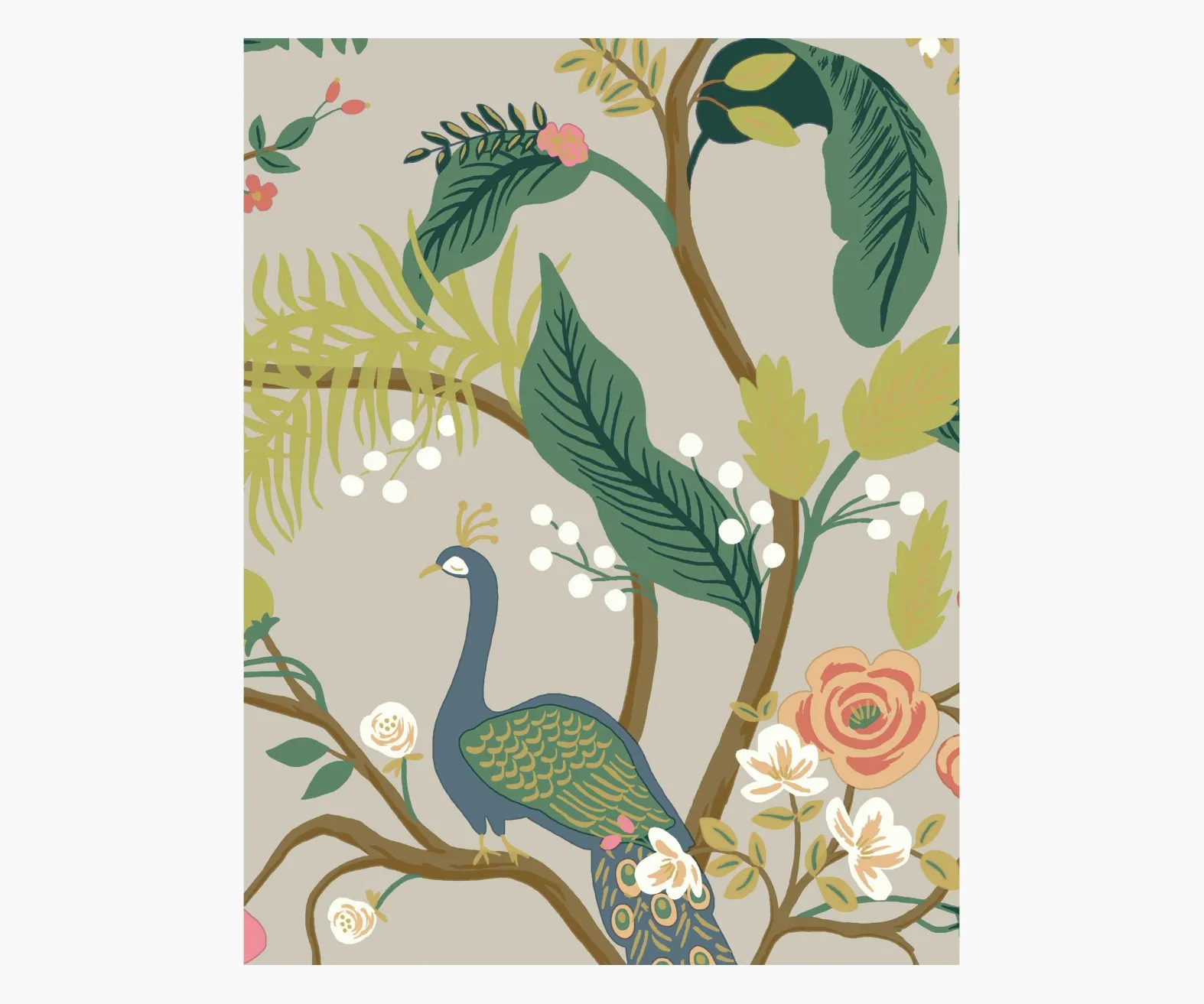 Peacock Wallpaper