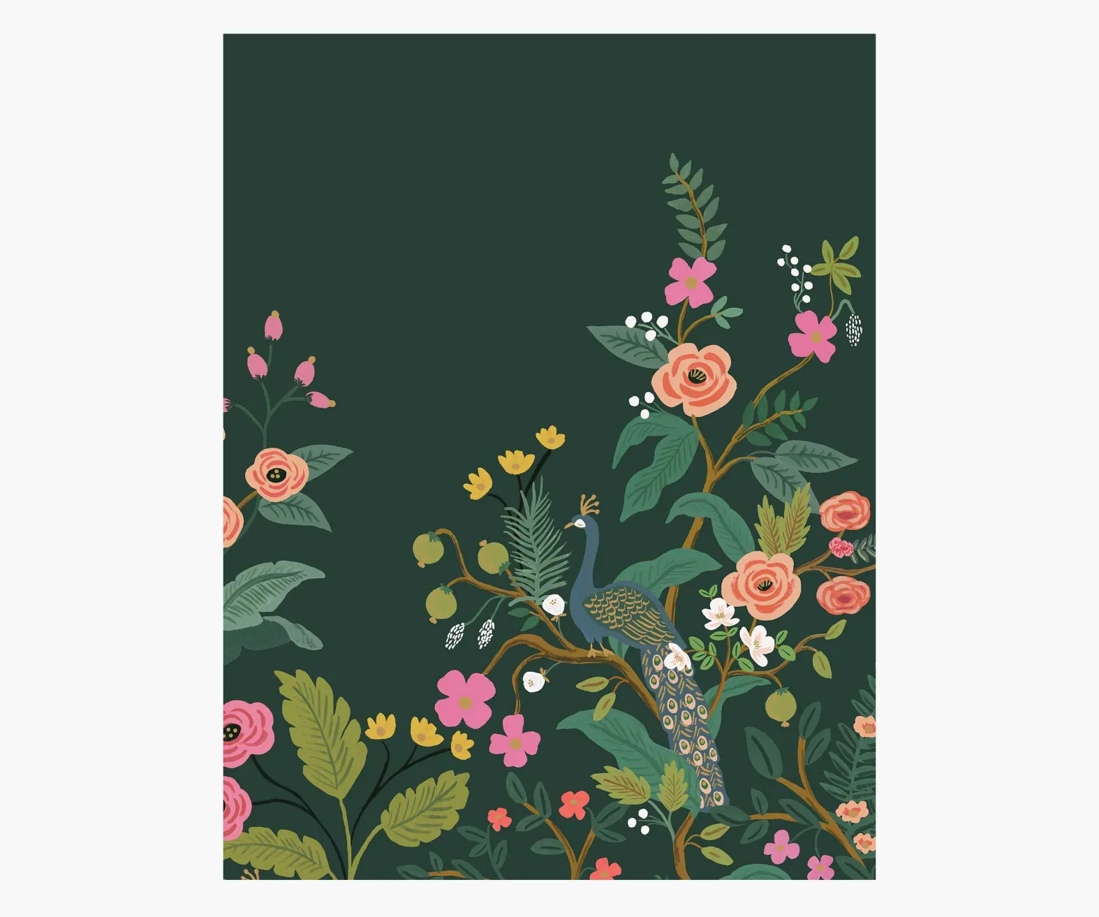 Peacock Wallpaper Mural