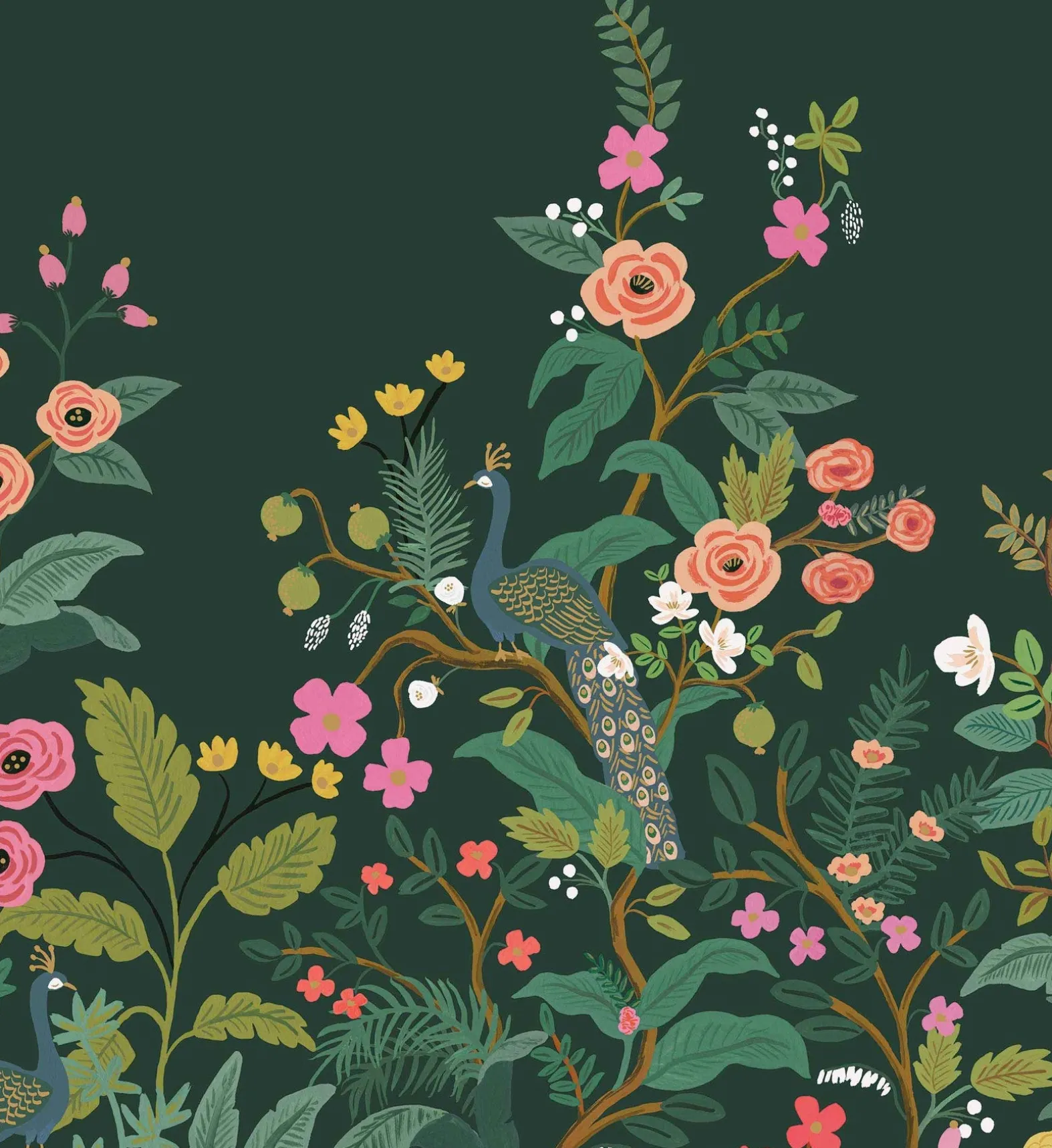 Peacock Wallpaper Mural