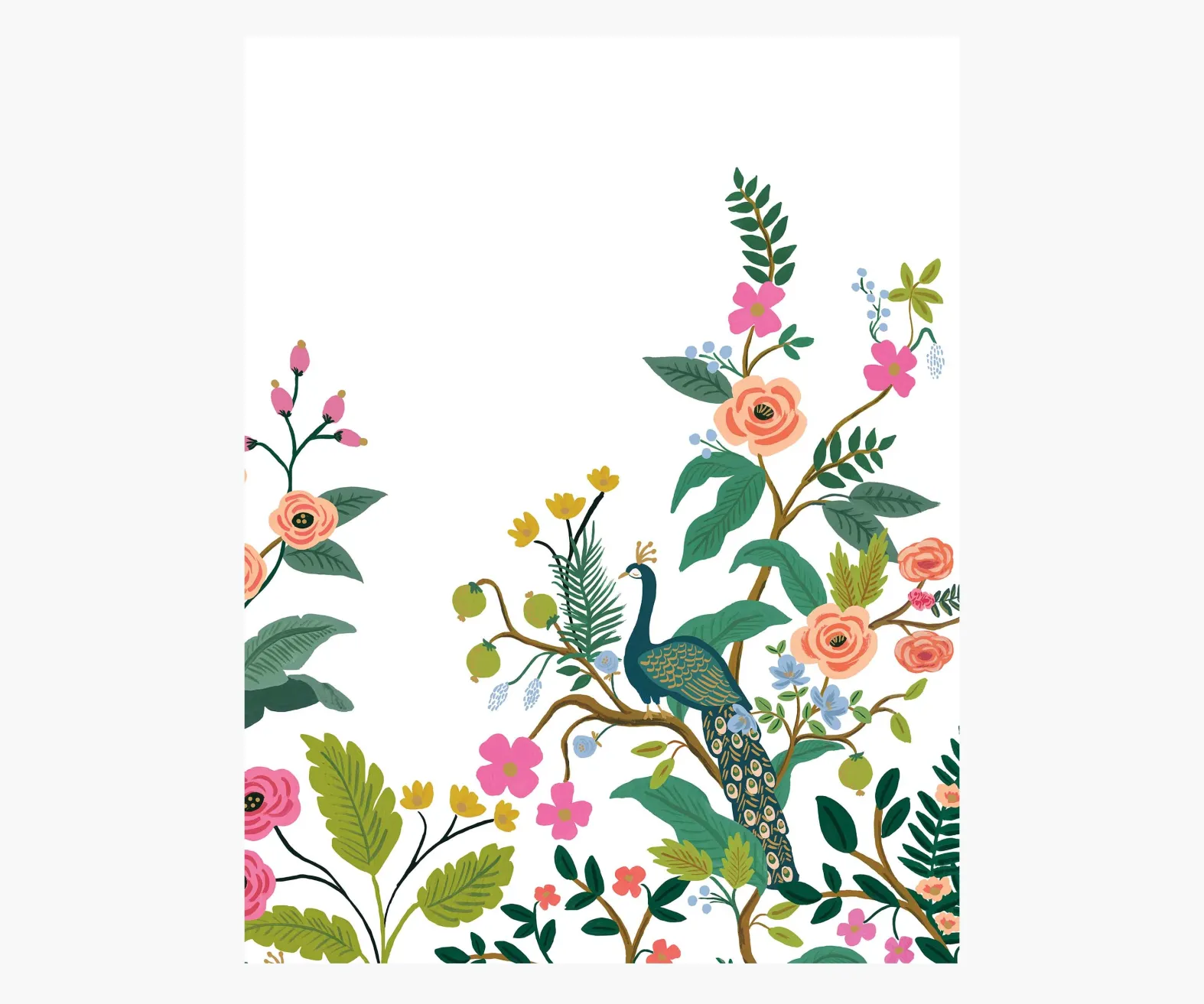 Peacock Wallpaper Mural Sample