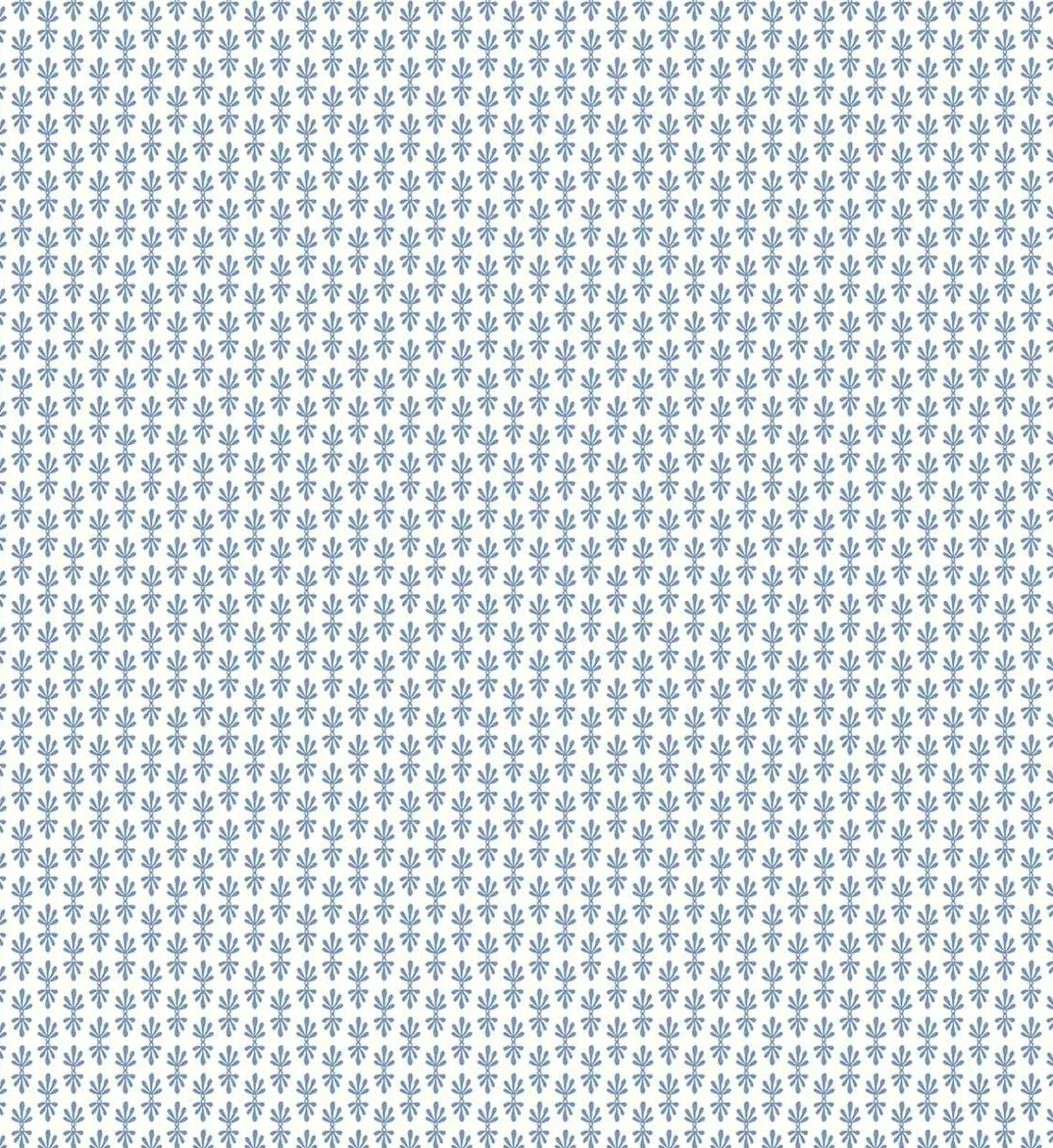 Petal Wallpaper