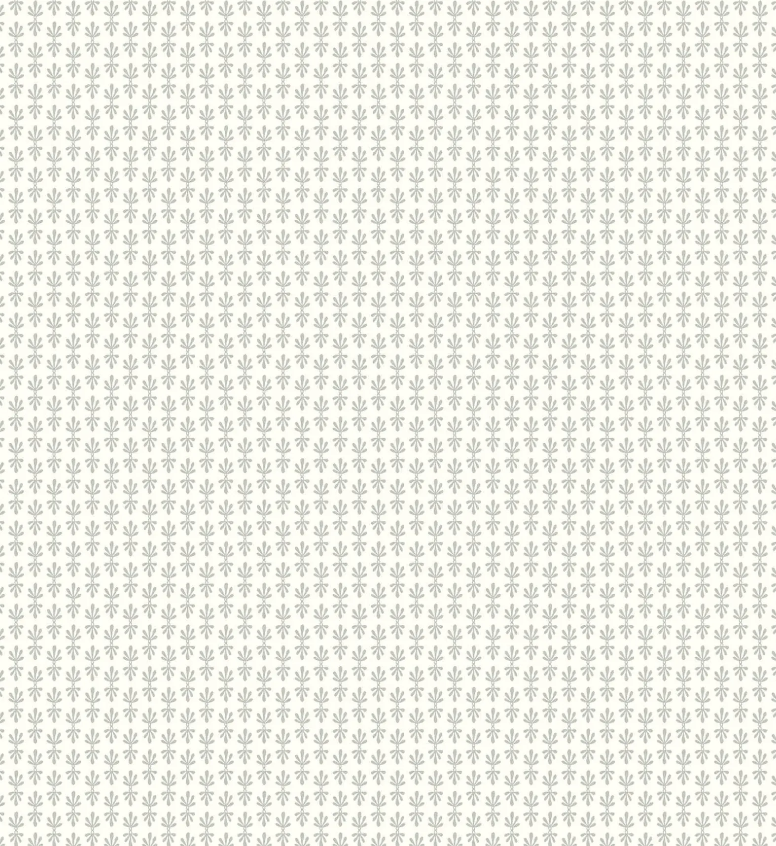 Petal Wallpaper