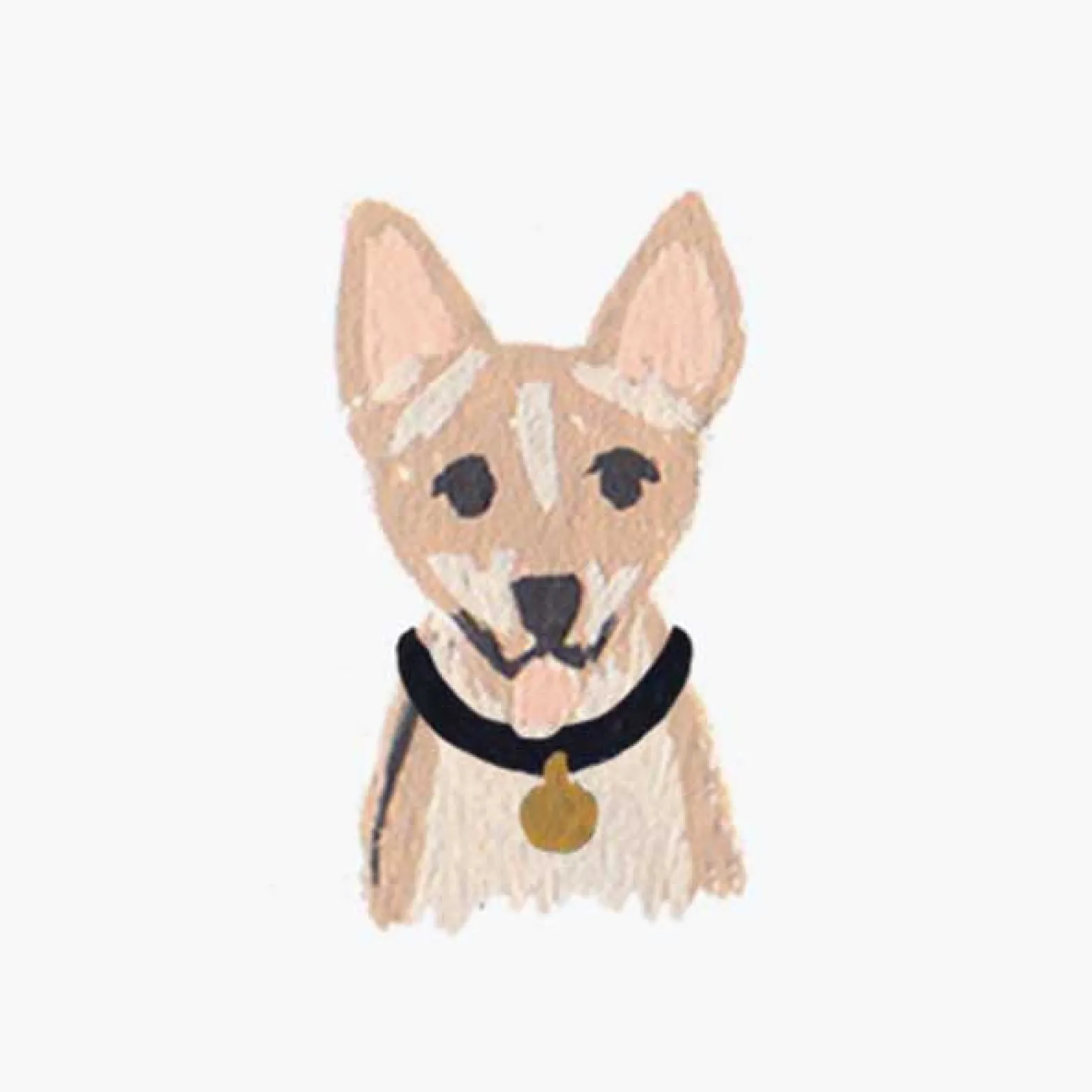 Pets Personalized Stationery