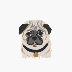 Pets Personalized Stationery