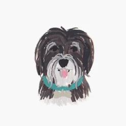 Pets Personalized Stationery