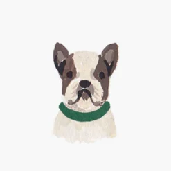 Pets Personalized Stationery