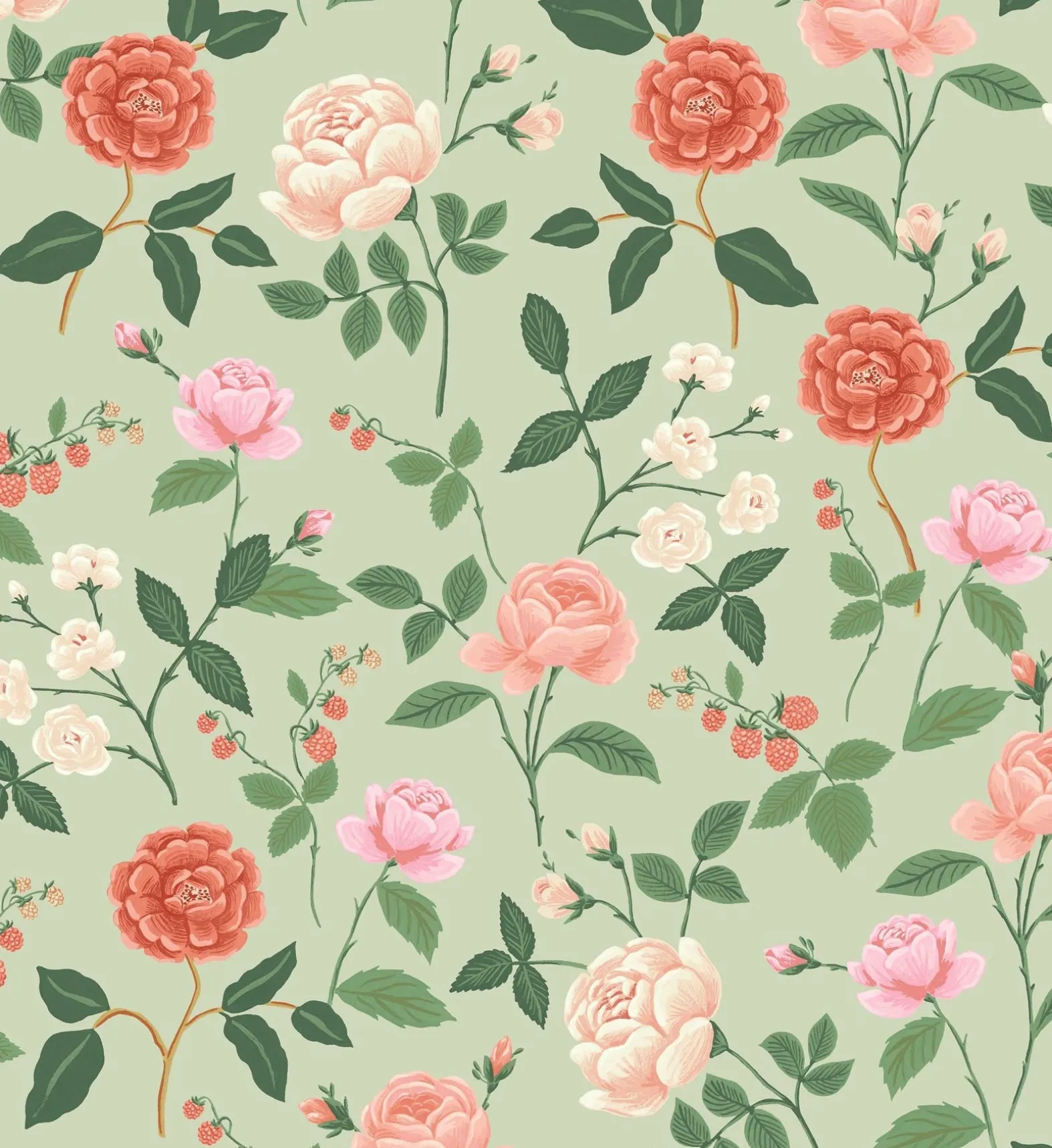 Roses Wallpaper
